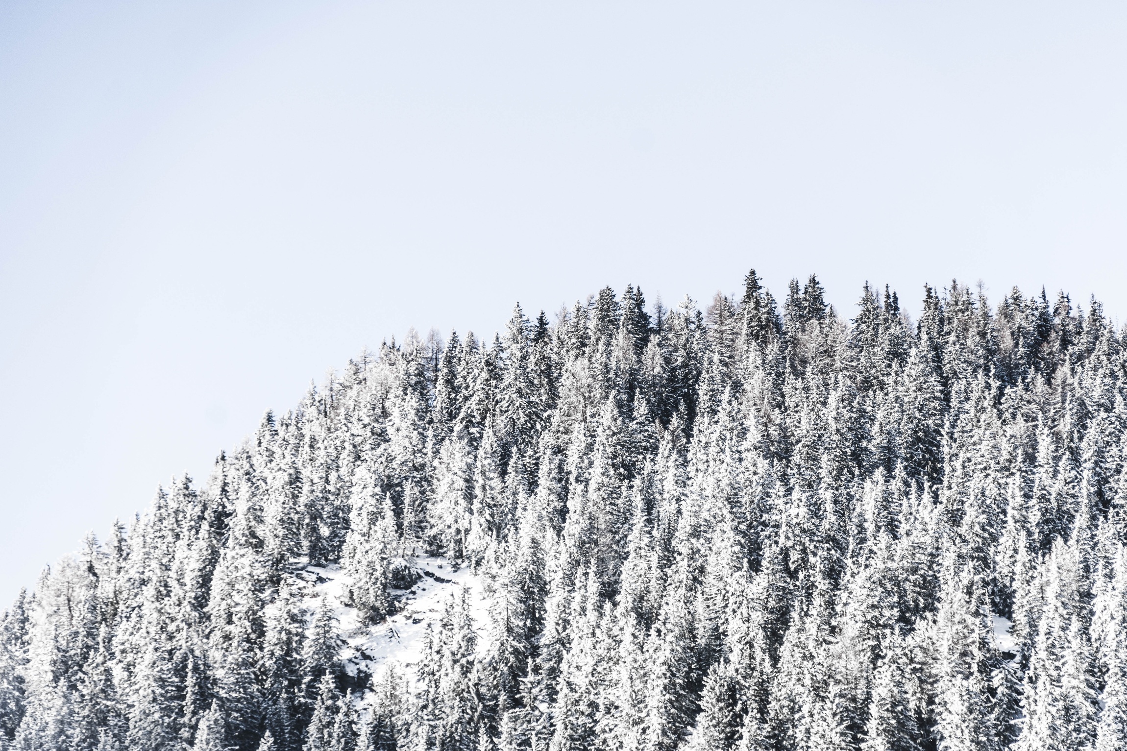 Fun Facts About Switzerland Part IV